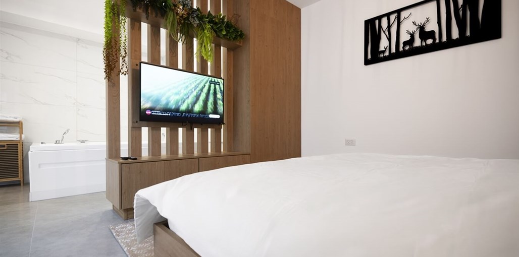 סוויטות חיאת זוגית 1 (3).jpg