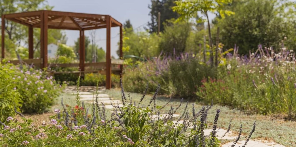 צימרים טל שחר צימר טל שחר - החצר והסביבה (9).jpg