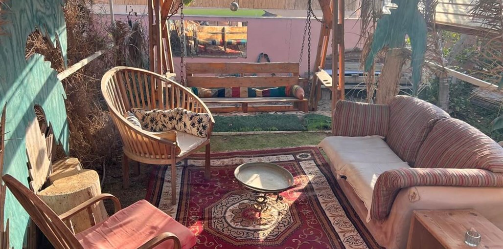 מכחול במדבר IMG_9512.JPG