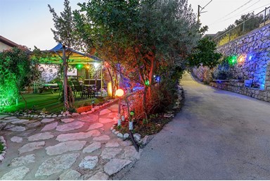 בקתות עץ המעיין - החצר והסביבה