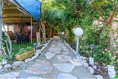 בקתות עץ המעיין - החצר והסביבה