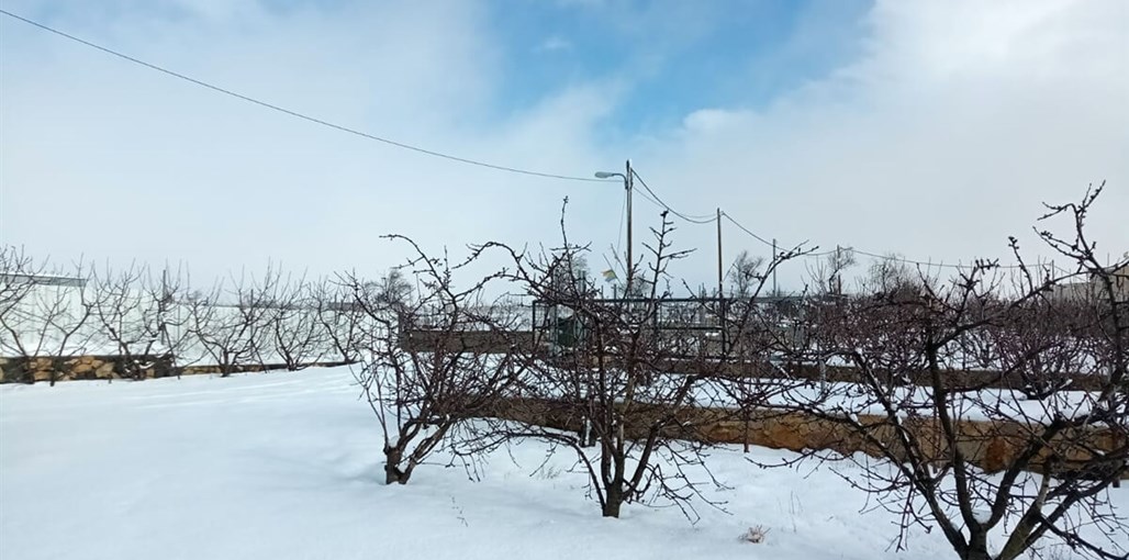 בילסאן צימרים שלג (5).jpeg