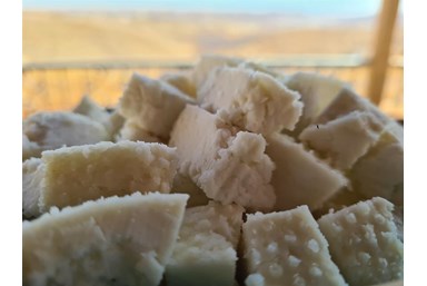 חאן ספר המדבר - אוהל האירוח