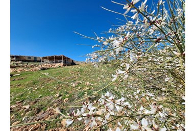 חאן ספר המדבר - אוהל האירוח