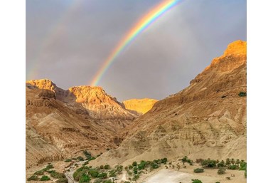 סוויטה נוף לים עין גדי - המרפסת והנוף