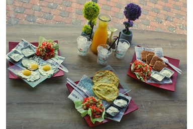 בצת על הים - גלמפינג קמפינג וקרוואנים