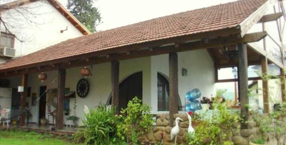 טל החרמון עצי הזית (1).jpg