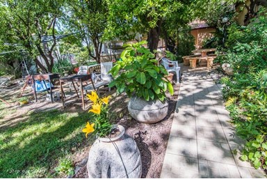 טל החרמון - בחצר שלנו