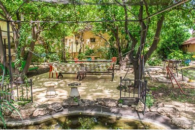 טל החרמון - בצל ההדרים