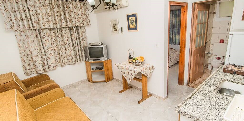 טל החרמון הדרים (1).jpg