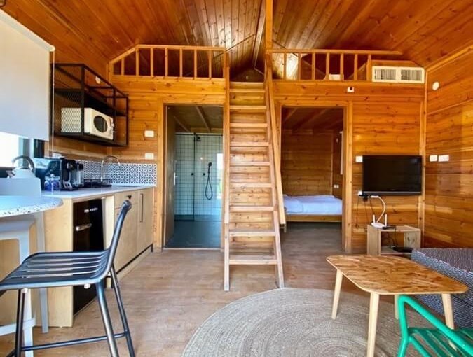 בערבה Willow פנים (1).jpg