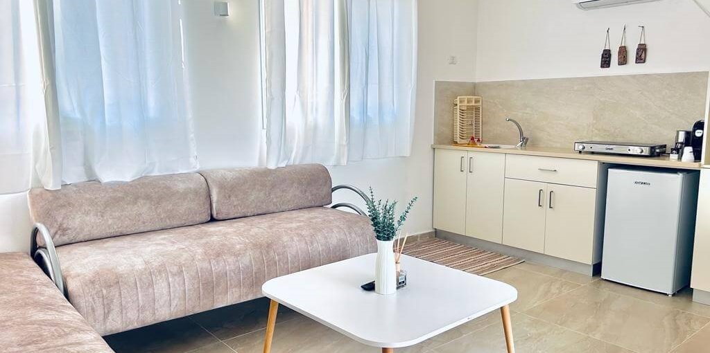 לימונה פנים (4).jpeg