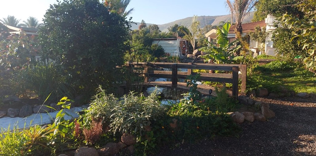 בוסתן הנחל חדשות לנחל  (11).jpeg