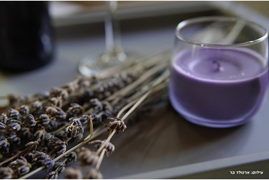 סוויטות נולה