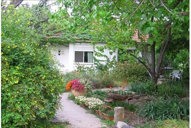 בבוסתן - תמר ודני שחר - בחצר שלנו