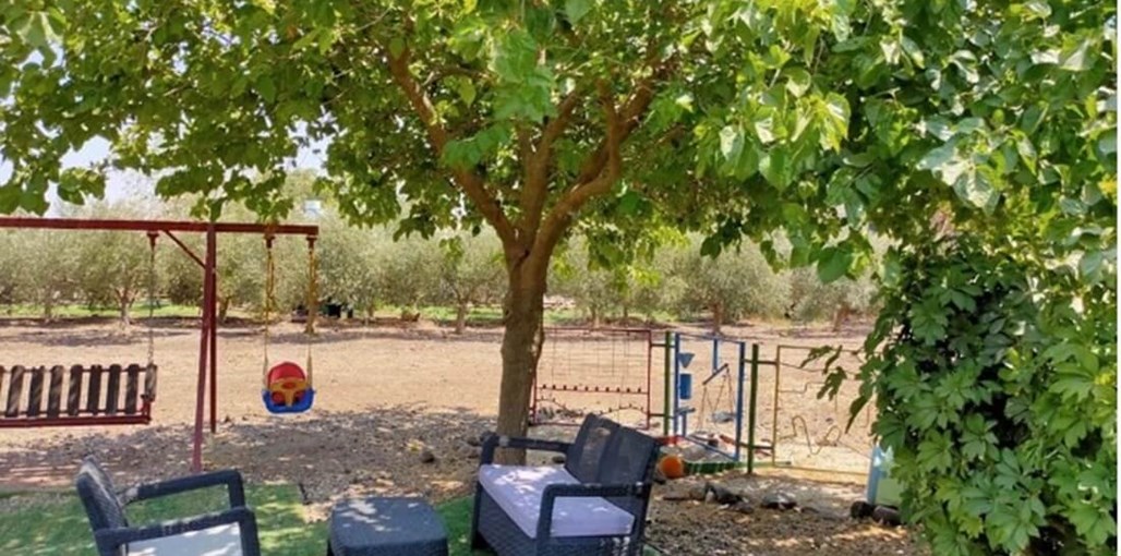 בזלת וגיר ירדן וחרמון חצר (4).jpeg