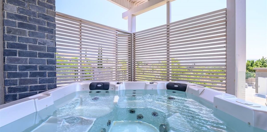 ציפור הכנרת חוץ חדשות (12).jpg