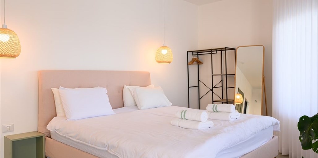 ציפור הכנרת פנים חדשות (3).jpg