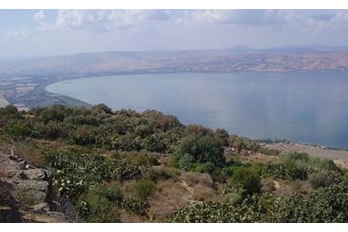 נגיעות הגולן - החצר והסביבה