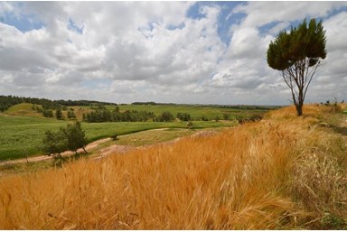 אירוח קיבוץ דורות - גני דורות