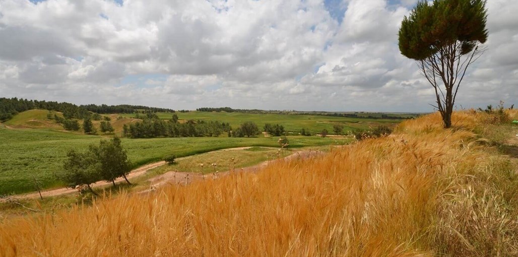 גני דורות - אירוח בקיבוץ אווירה ונוף (10).JPG