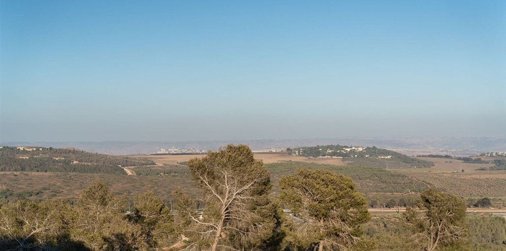 נוי גלילי  נוי גלילי  (16).JPG