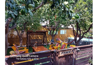 פרדייס - Paradise - מתחם החוץ