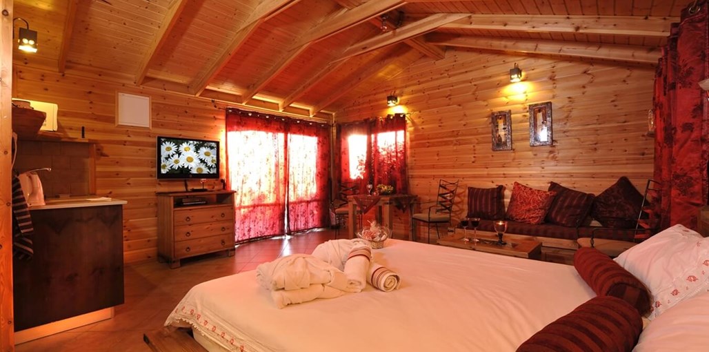 גאיה בגולן כוכב (6).jpg