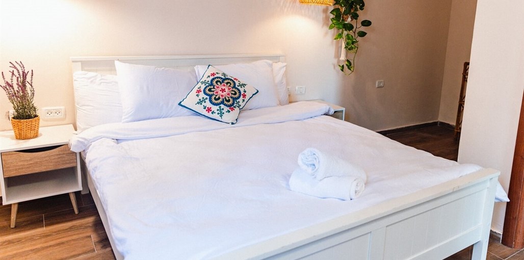 שיח מדבר אשל (18).jpg