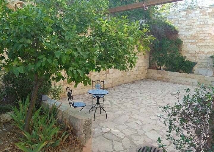 אורה בצל התאנה אוגוסט 2022  (5).jpeg