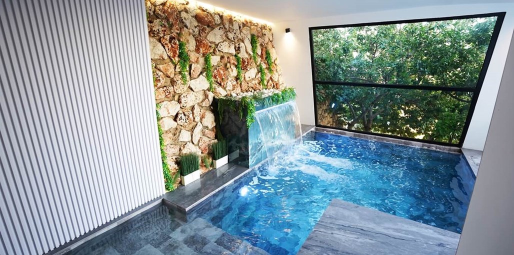 סוויטה אוליב חדשות (8).jpg