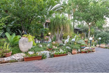 הבקתות של רחל - החצר