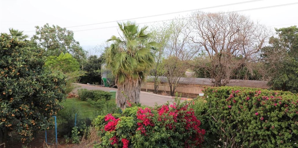 בית מור בית מור (3).JPG