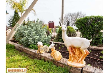 צימר כפרי הררית