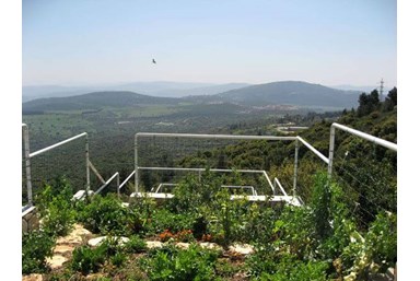 און בר קייט - החצר והגינה