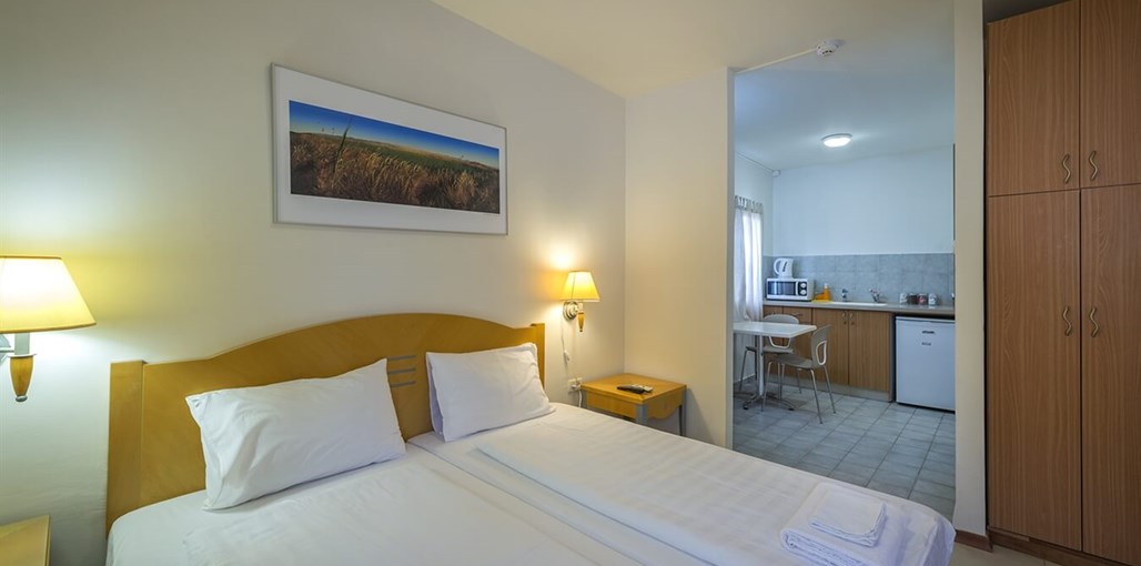 בצל התמרים תמרים חדשות 20.3 (7).jpg