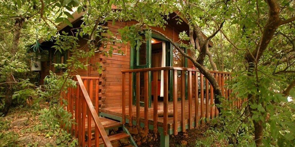 ארץ הגליל אלה (2).jpg