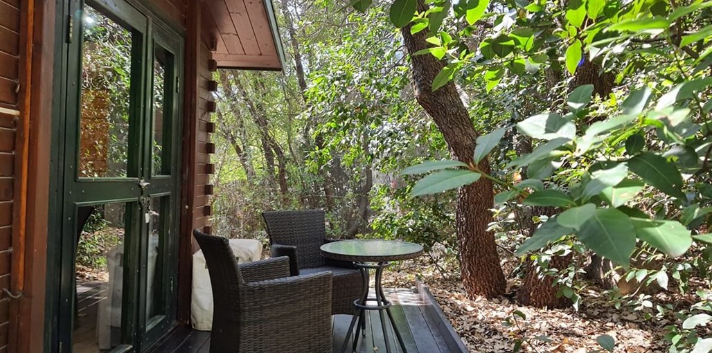 ארץ הגליל אלון (11).jpg