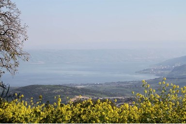 שוויץ באמירים - צימרים וספא - יחידת משמש