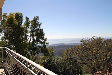 שוויץ באמירים - צימרים וספא - יחידות משפחתיות