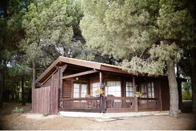 קיבוץ אורטל - תיירות קיבוץ אורטל - בקתות עץ