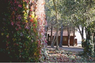 קיבוץ אורטל - תיירות קיבוץ אורטל - המתחם והחצר