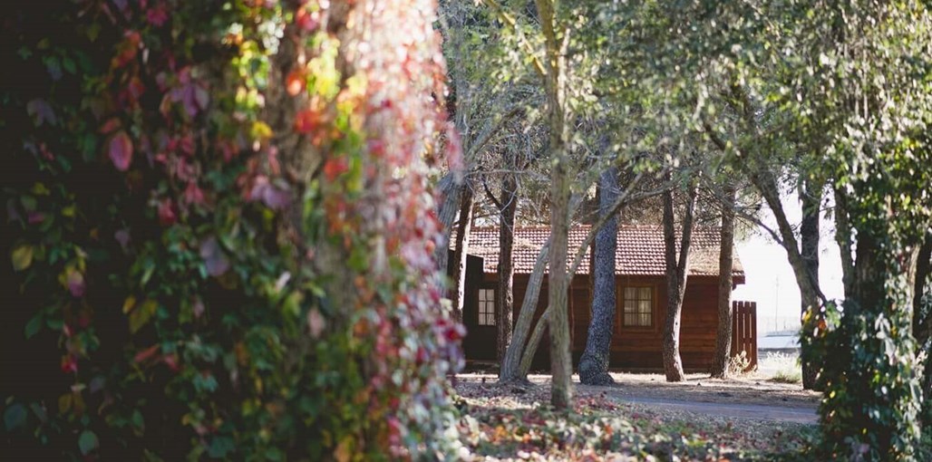 קיבוץ אורטל - תיירות קיבוץ אורטל חצרות (6).jpg