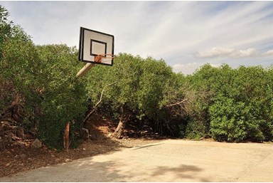 חלום יעקב - אצלנו בחצר