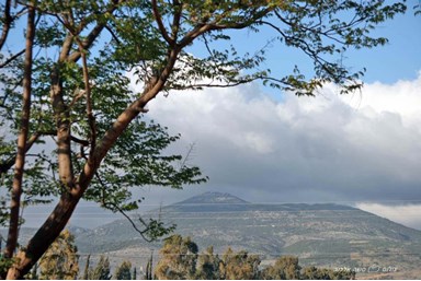 אורחן סוזי - הצימר המשפחתי
