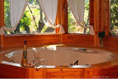 בקתה במטע - הבקתה הקלאסית