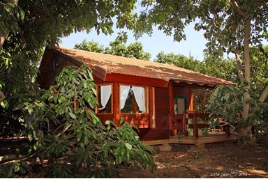 בקתה במטע - המטע, החצר והנוף 