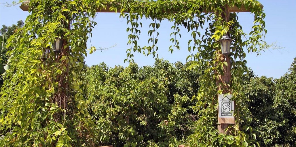 בקתה במטע חצר מטע ונוף (16).JPG