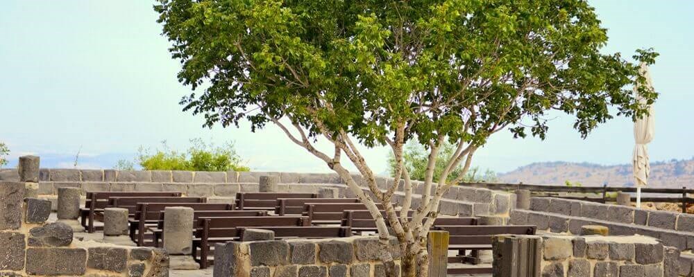 מלון לוגוס בהרים יד השמונה גן (2).jpg