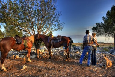 חוות נופש ורד הגליל - אטרקציות